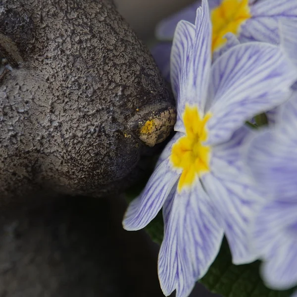 天空彩票捕鱼游戏